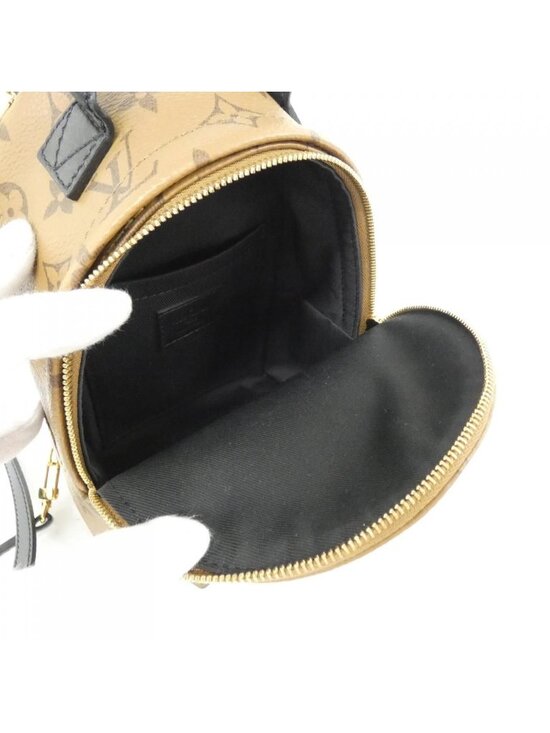 Louis Vuitton Monogram Reverse Palm Springs Backpack Mini main image 9
